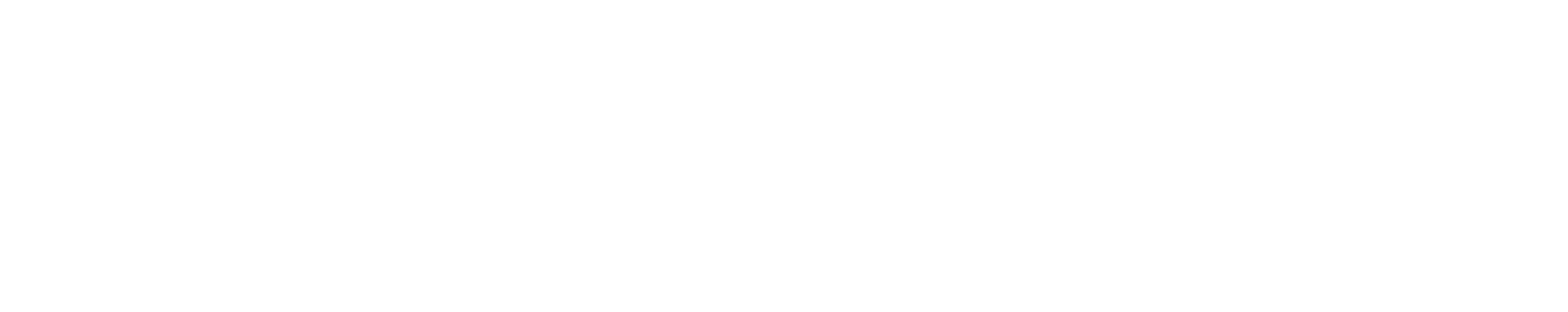 Logo Sota Holdings-03